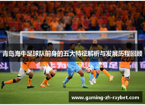 青岛海牛足球队前身的五大特征解析与发展历程回顾